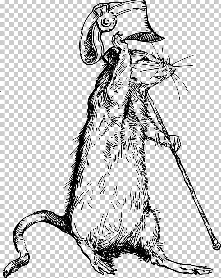 Cat Rat Mouse Mammal Rodent PNG, Clipart, Animal, Animals, Art, Artwork, Black And White Free PNG Download