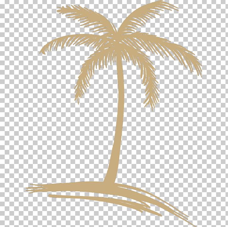 Logo Drawing PNG, Clipart, Arecaceae, Arecales, Brand, Can Stock Photo, Drawing Free PNG Download