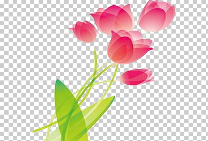 Tulip Pink PNG, Clipart, Computer Wallpaper, Cut Flowers, Floral Design, Flower, Flowers Free PNG Download