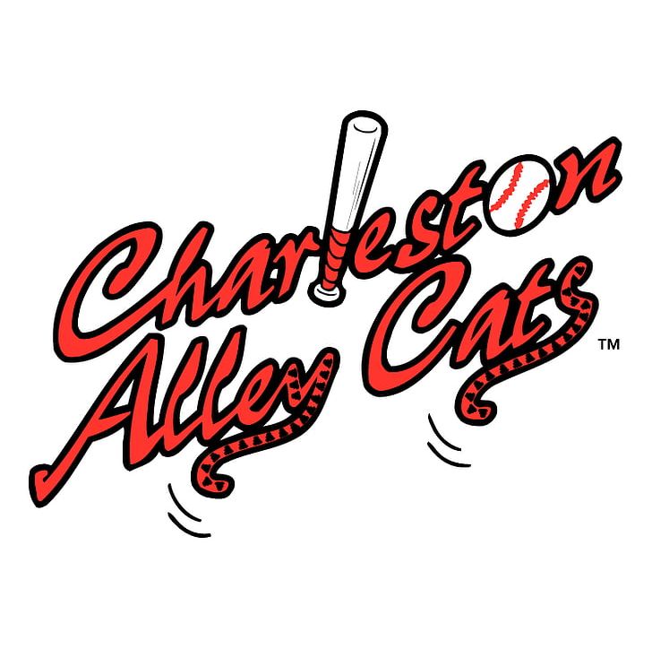 Charleston West Virginia Power Delmarva Shorebirds Alley PNG, Clipart, Alley, Alleycat Race, Area, Art, Brand Free PNG Download