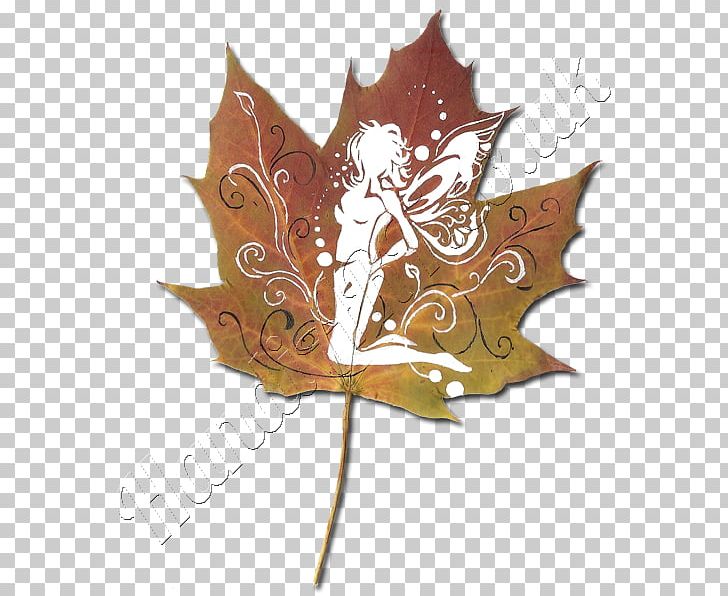 Maple Leaf PNG, Clipart, Leaf, Maple, Maple Leaf, Maple Leaf Pattern, Plant Free PNG Download