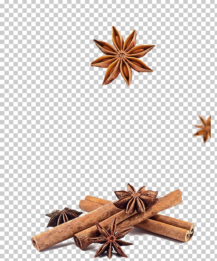 Spice Cinnamon Apple Pie Indian Cuisine Star Anise PNG, Clipart, Anise, Apple Pie, Cinnamon, Clove, Flavor Free PNG Download