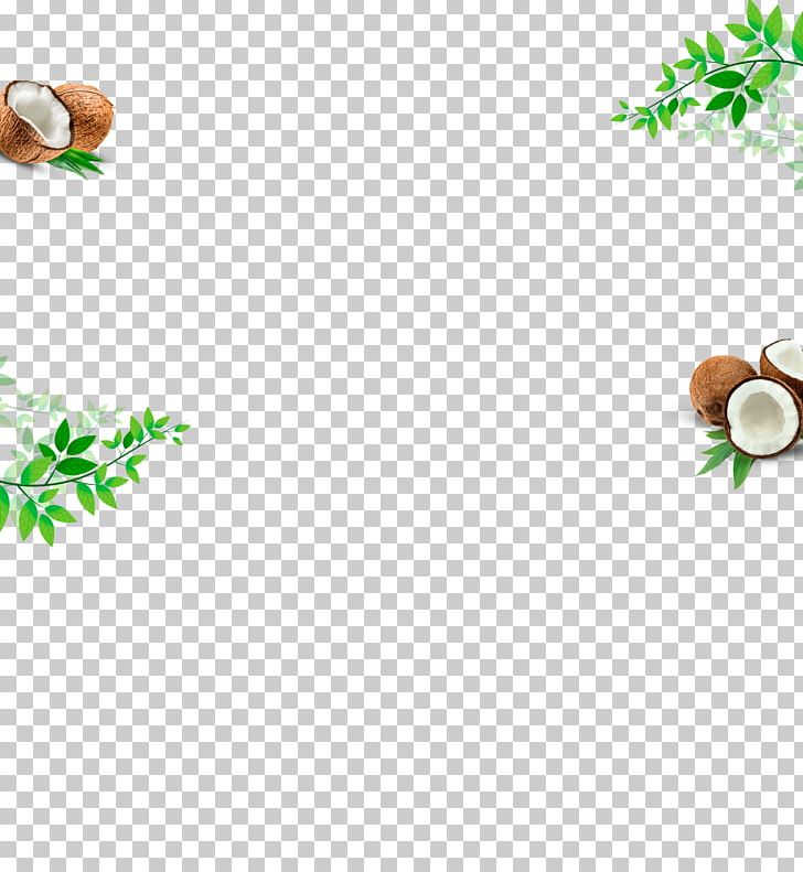Leaf PNG, Clipart, Branch, Flower, Grass, Leaf, Organism Free PNG Download