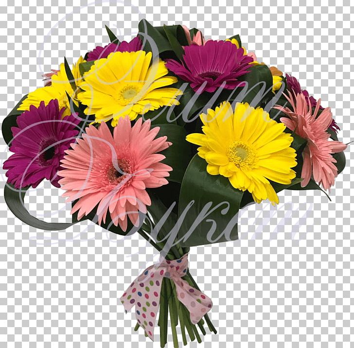 Transvaal Daisy Floral Design Flower Bouquet Cut Flowers PNG, Clipart,  Free PNG Download