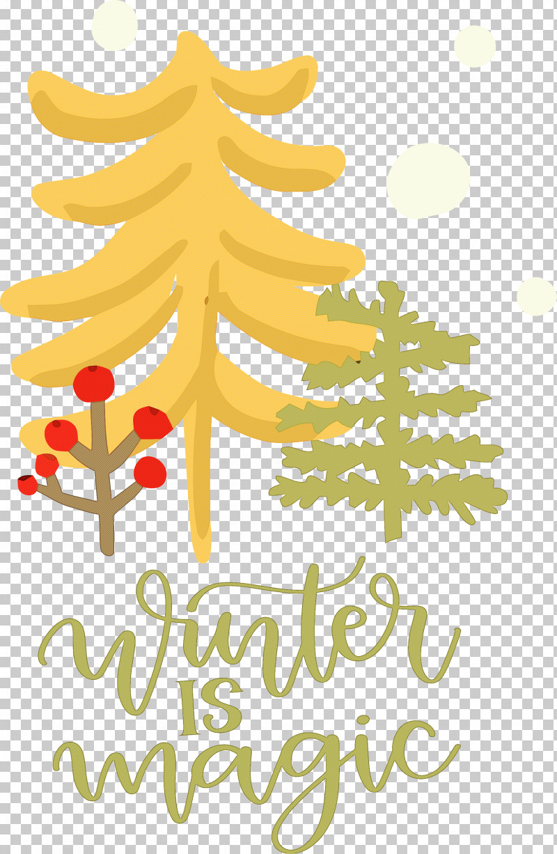 Winter Is Magic Hello Winter Winter PNG, Clipart, Birds, Blueandyellow Macaw, Budgerigar, Christmas Day, Christmas Tree Free PNG Download