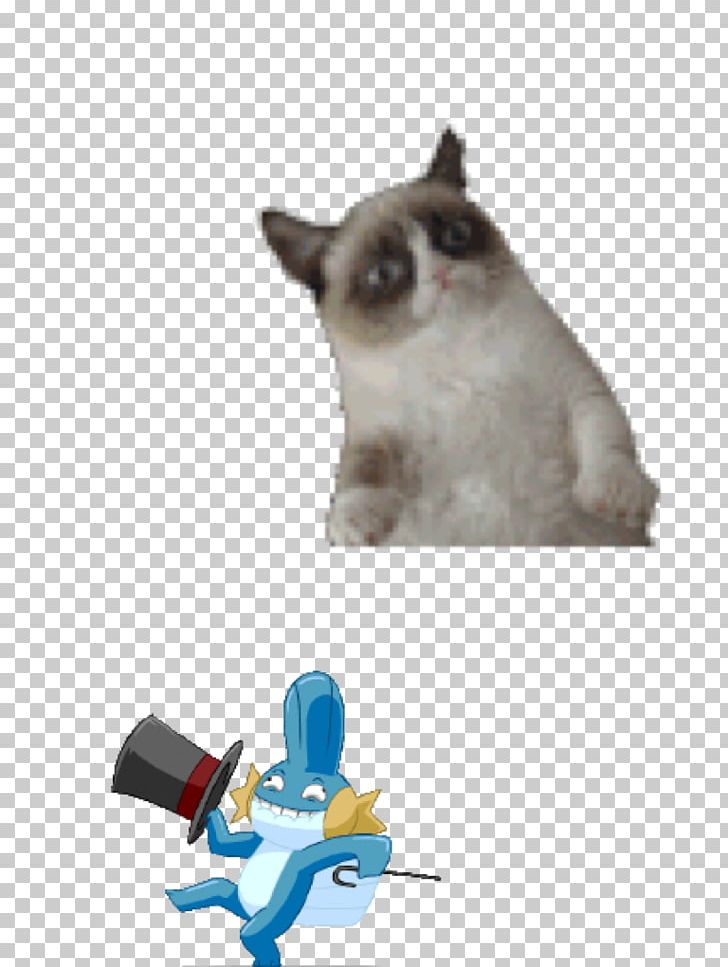 Grumpy Cat Snowshoe Cat PNG, Clipart, 500 X, Carnivoran, Cat, Cat Like Mammal, Desktop Wallpaper Free PNG Download