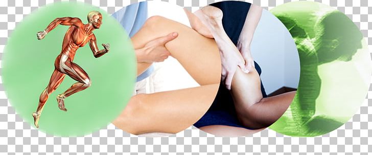 Massage By Cheryl Ann Physical Therapy Adhesive Capsulitis Of Shoulder PNG, Clipart, Adhesive Capsulitis Of Shoulder, Arm, Clinic, Disease, Exercise Free PNG Download