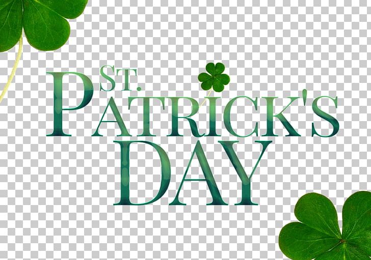 Saint Patrick's Day St. Patrick's Cathedral 17 March Happiness Irish People PNG, Clipart,  Free PNG Download