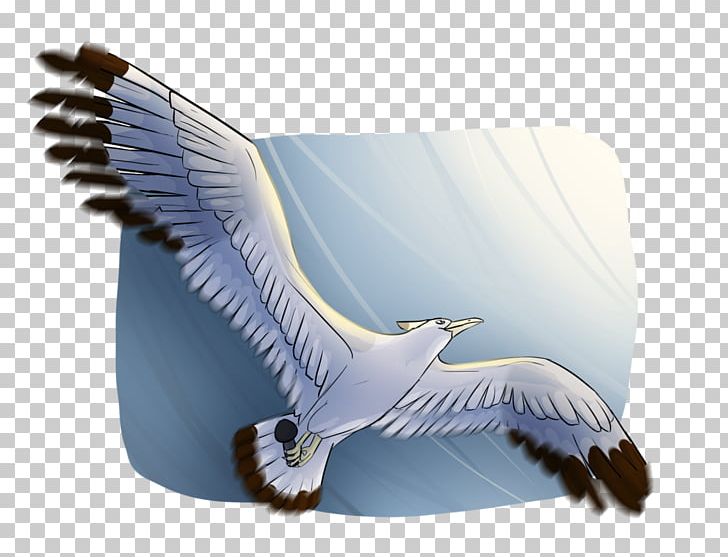 Bird Of Prey Beak Feather Eagle PNG, Clipart, Animal, Animals, Beak, Bird, Bird Of Prey Free PNG Download