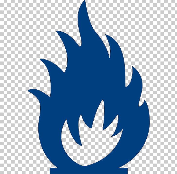 Fire Flame PNG, Clipart, Artwork, Black And White, Combustion, Computer Icons, Fire Free PNG Download