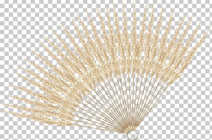 Hand Fan Creativity PNG, Clipart, Accessoire, Advertising, Art, Asian Palmyra Palm, Blue Free PNG Download