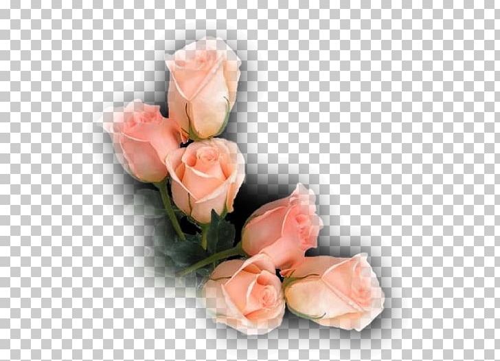 Garden Roses Cabbage Rose Cut Flowers Flower Bouquet PNG, Clipart, Artificial Flower, Color, Cut Flowers, Flower, Flower Bouquet Free PNG Download