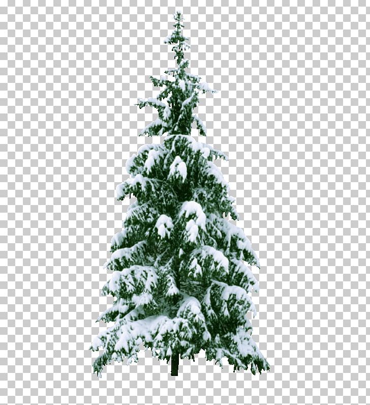 Christmas Tree PNG, Clipart, Agac Resimleri, Artificial Christmas Tree, Branch, Christmas, Christmas Decoration Free PNG Download