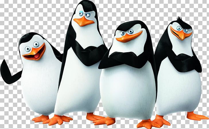 Madagascar Penguins PNG, Clipart, Madagascar Penguins Free PNG Download