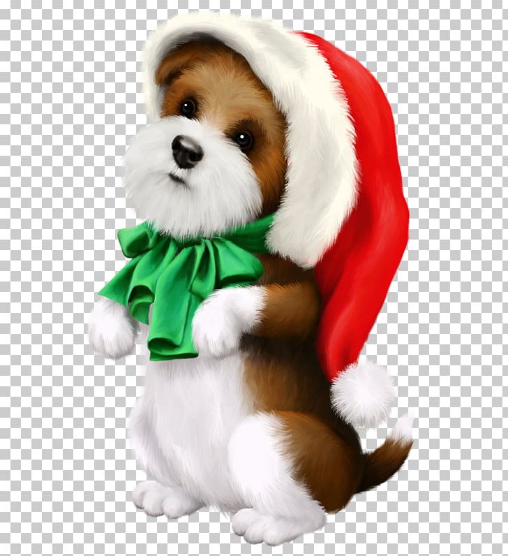 Puppy Dog Breed Shih Tzu Hokkaido Dog Samoyed Dog PNG, Clipart, Animal, Breed, Canidae, Carnivoran, Christmas Ornament Free PNG Download
