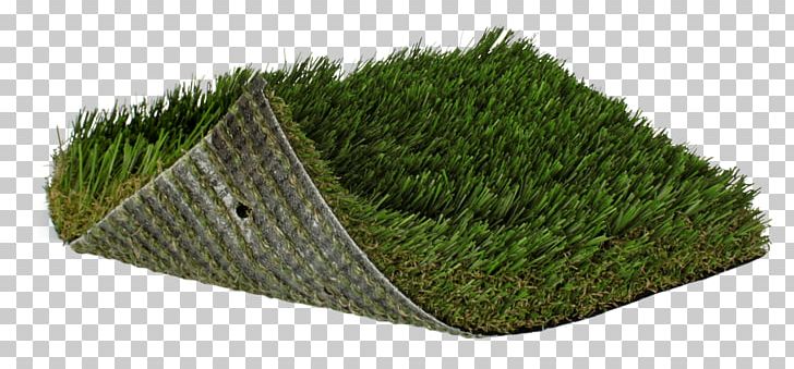 Artificial Turf Lawn Fescues Landscaping Garden PNG, Clipart, Artificial Turf, Backyard, Color, Crowngrass, Fescues Free PNG Download