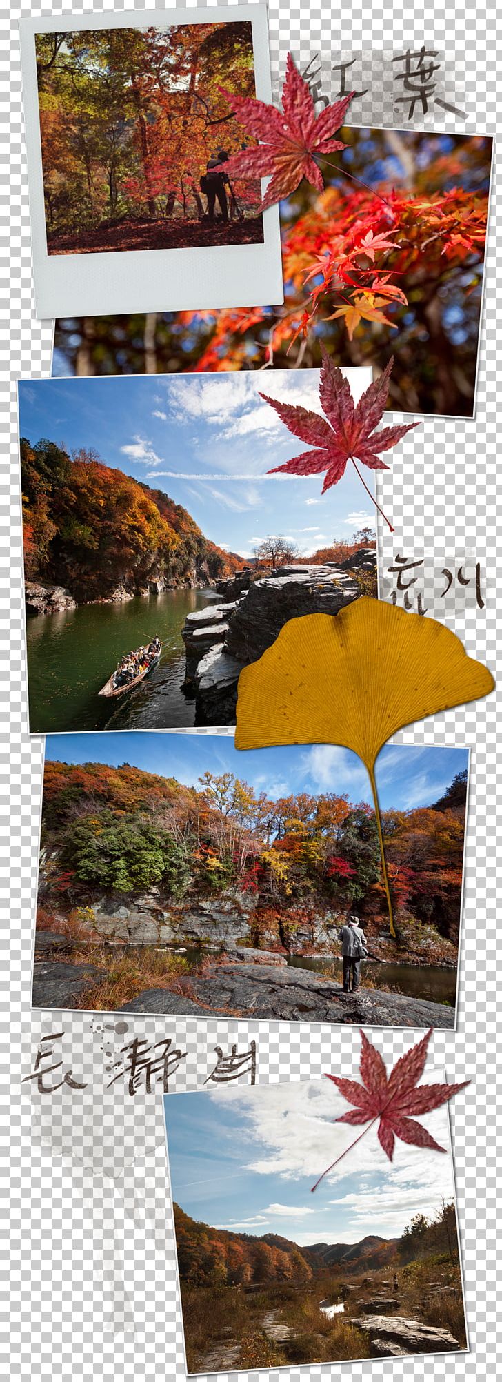 Echigo-Yuzawa Station Chichibu Yellow Hue Color PNG, Clipart, Autumn, Chichibu, Collage, Color, Hue Free PNG Download