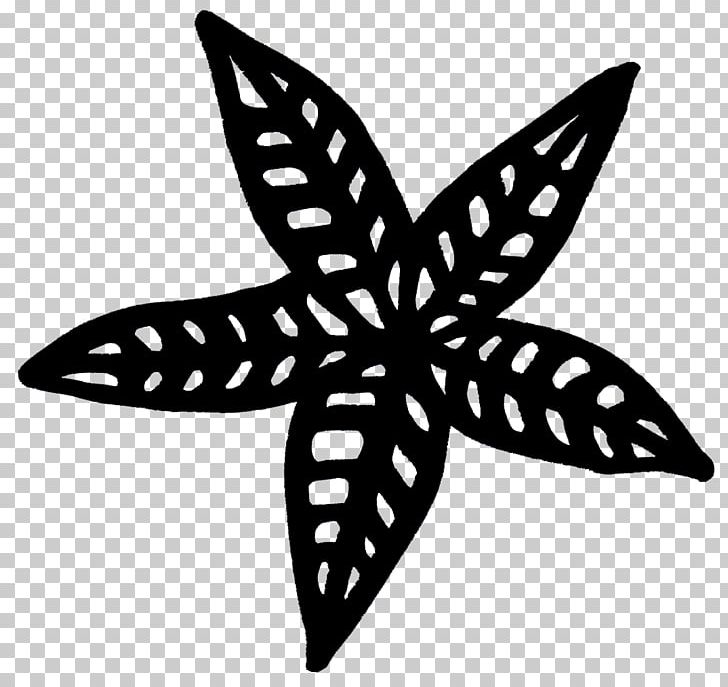 Symmetry Line Starfish Pattern PNG, Clipart, Art, Black And White, Butterfly, Echinoderm, Invertebrate Free PNG Download