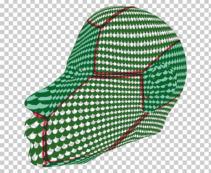 Headgear Shoe PNG, Clipart, Green, Headgear, Human Cell, Others, Shoe Free PNG Download