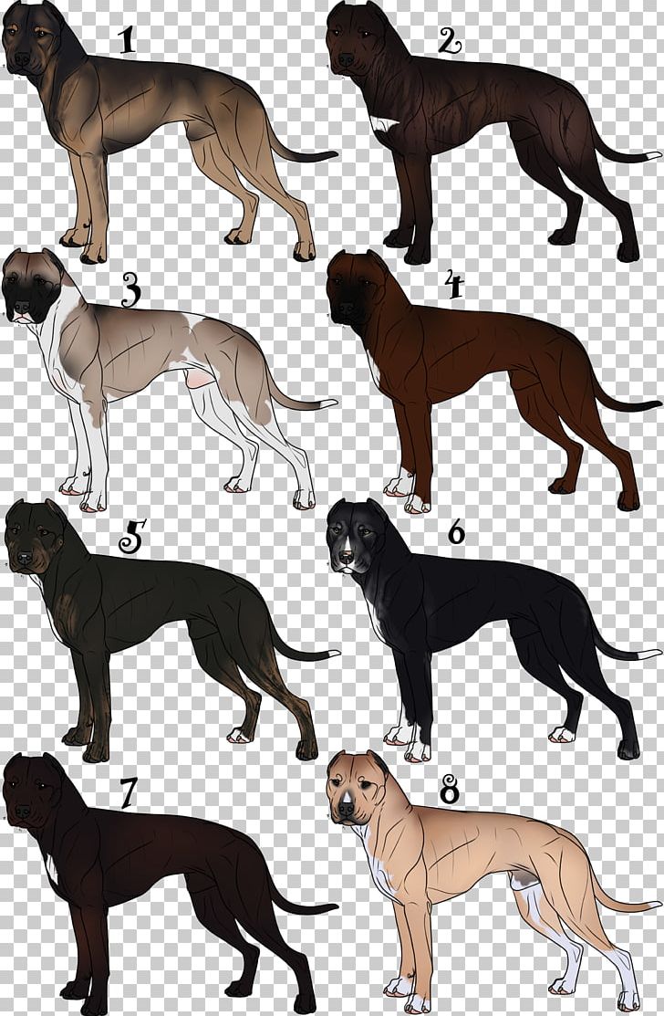 Italian Greyhound Spanish Greyhound Whippet Sloughi PNG, Clipart, 08626, Breed, Carnivoran, Crossbreed, Dog Free PNG Download