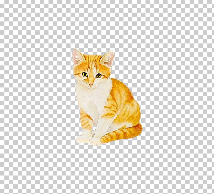 Cat Kitten Animation PNG, Clipart, American Wirehair, Animals, Beauty, Beauty Salon, Carnivoran Free PNG Download