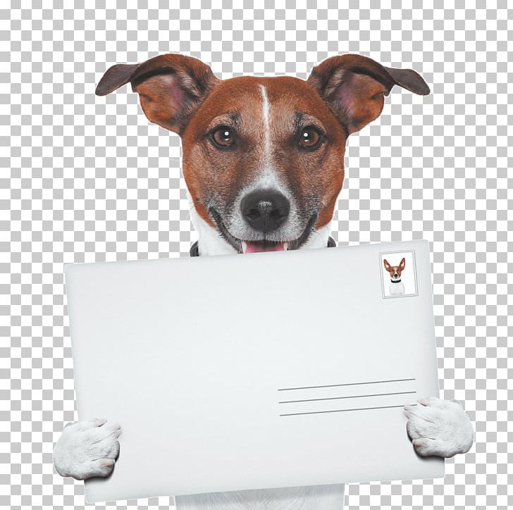 Dog Walking Pet Sitting Puppy PNG, Clipart, Animal, Animal Rescue Group, Animals, Companion Dog, Dog Free PNG Download