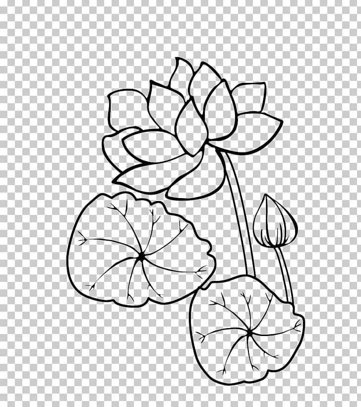 Flower Aquatic Plant Stroke Receptacle Leaf PNG, Clipart, Area, Art, Artwork, Black And White, Branch Free PNG Download