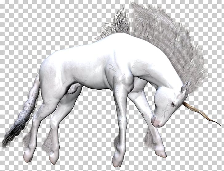 Unicorn Pegasus Mustang Fantasy PNG, Clipart, Black And White, Drawing, Fairy, Fantasy, Fauna Free PNG Download