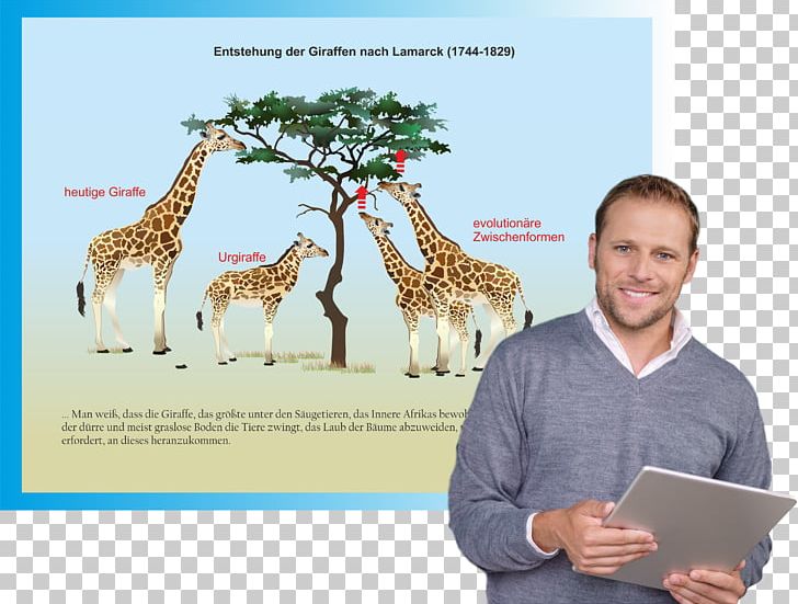 Giraffe Unterrichtssoftware Biology Text Fauna PNG, Clipart, Animals, Biologie, Biology, Charles Darwin, Cloze Test Free PNG Download