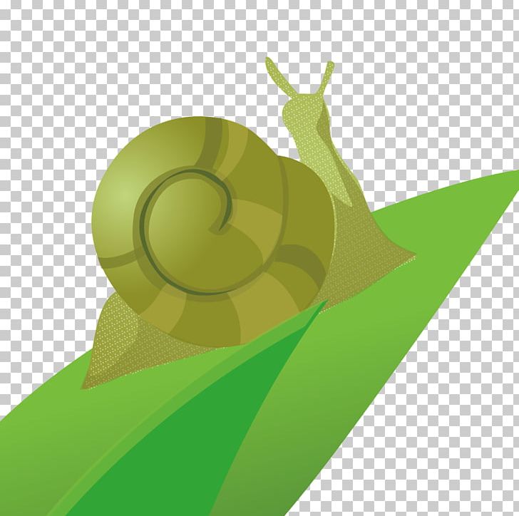 Leaf Orthogastropoda Caracol PNG, Clipart, Animal, Animals, Autumn Leaves, Banana Leaves, Caracol Free PNG Download