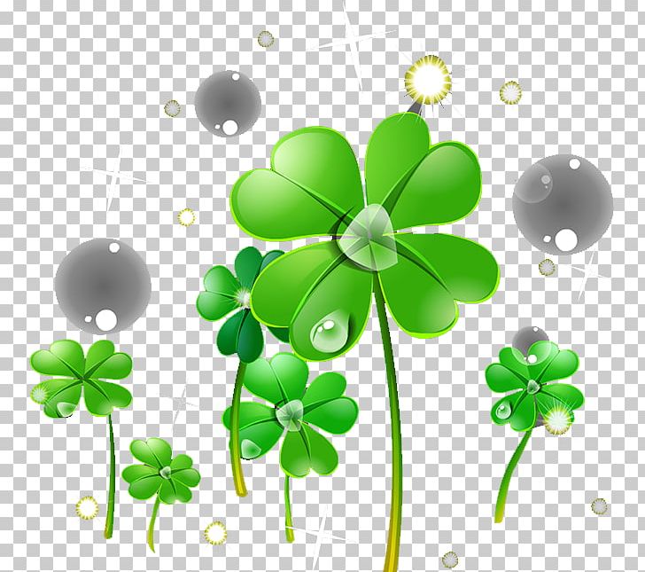 Oxalis Corniculata Four-leaf Clover PNG, Clipart, 4 Leaf Clover, Circle, Clover, Clover Border, Clover Leaf Free PNG Download