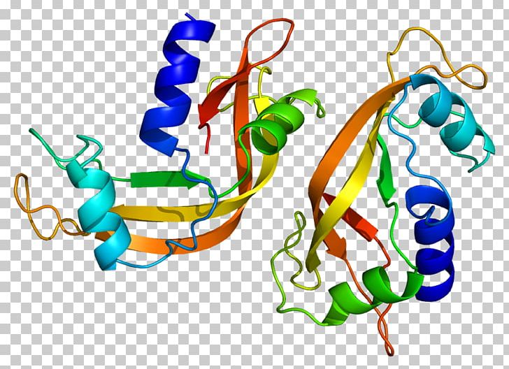 Bovine Pancreatic Ribonuclease Ribonuclease 4 Endoribonuclease PNG, Clipart, Angiogenin, Area, Art, Bovine Pancreatic Ribonuclease, Endoribonuclease Free PNG Download