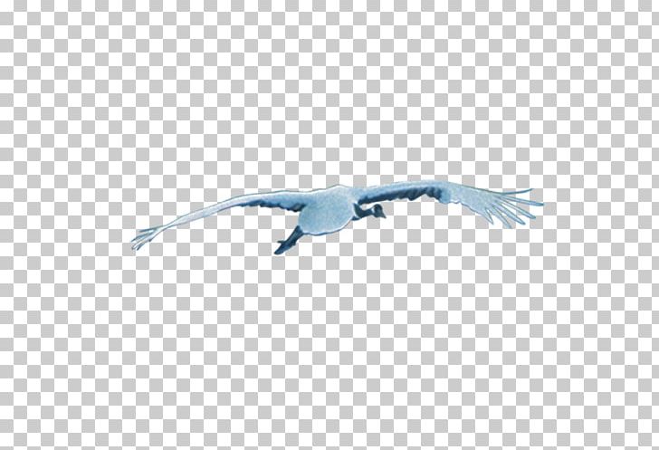 Crane Paper PNG, Clipart, Beak, Bird, Blue, Buckle, Crane Free PNG Download