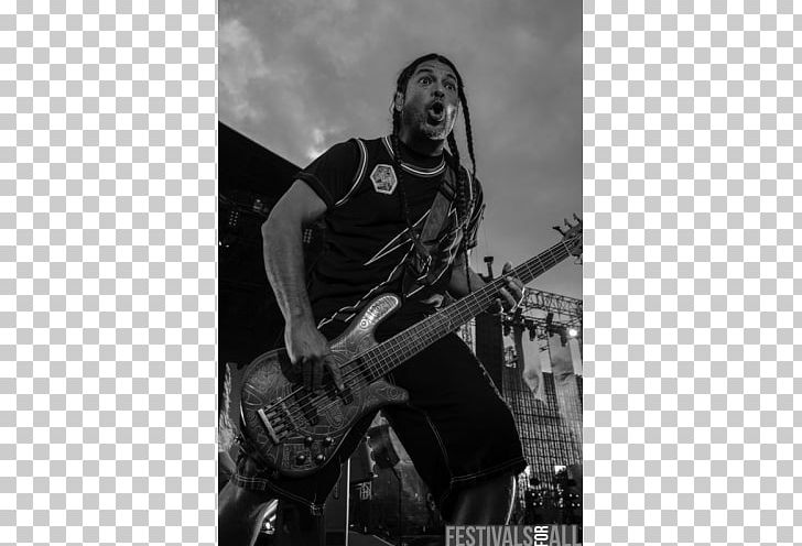 Musician Bass Guitar Metallica Musical Instruments PNG, Clipart, Bass Guitar, Concert, Guitar Accessory, Guitarist, Metal Free PNG Download