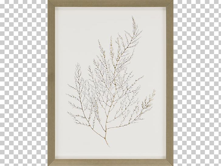 Frames Wall Decal Painting Mirror PNG, Clipart, Art, Branch, Floor, Foil, Glass Free PNG Download