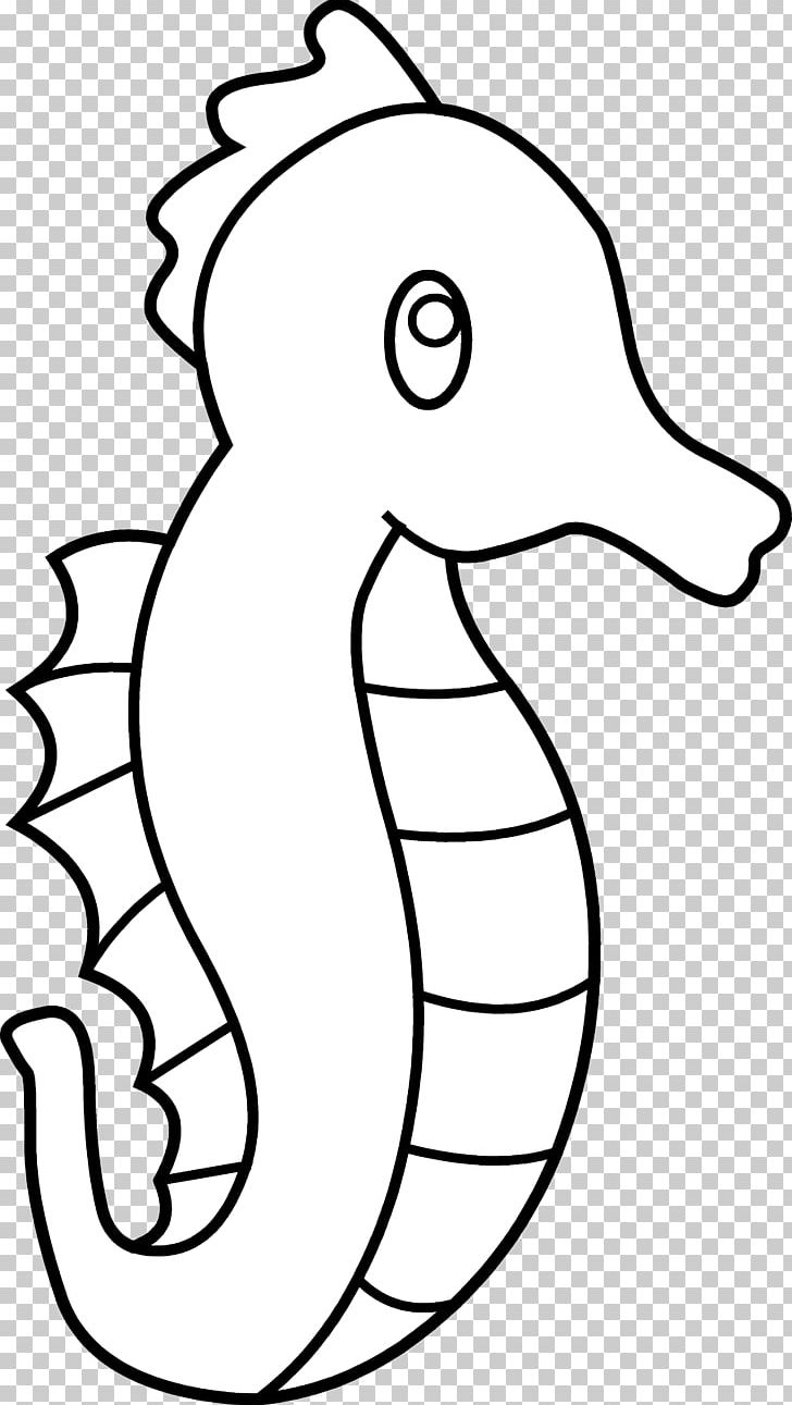 Seahorse Free Content PNG, Clipart, Area, Art, Beak, Bird, Black And White Free PNG Download
