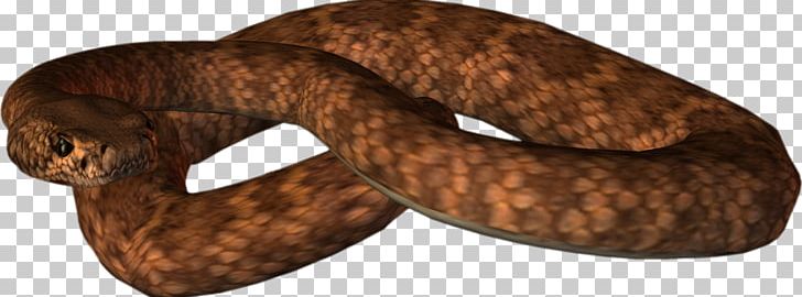 Snake PhotoScape PNG, Clipart, Akitaclub, Animals, Biodiversidad, Crestedgecko, Cute Free PNG Download