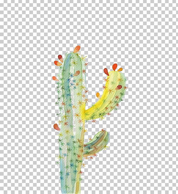 Cactaceae UGallery Watercolor Painting Drawing PNG, Clipart, Art, Cactus, Cactus Cartoon, Cactus Flower, Cactus Vector Free PNG Download