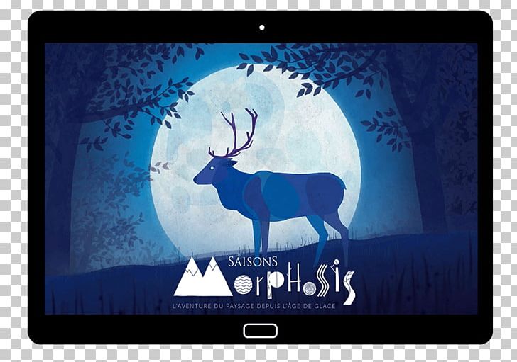 Seasons: Morphosis Les Saisons Documentary Film Television PNG, Clipart, 2015, Antler, Cinematography, Computer Wallpaper, Deer Free PNG Download