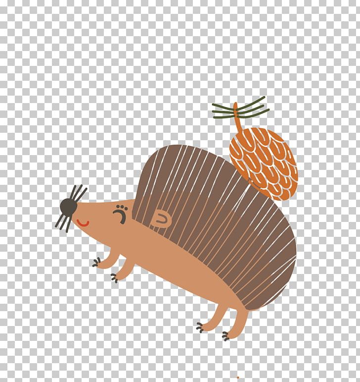 Hedgehog Armadillo Cartoon Animal PNG, Clipart, Animal, Animals, Animal Vector, Anime Character, Anime Girl Free PNG Download