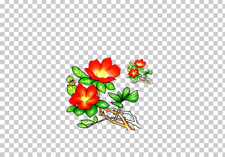 Pentax Pomegranate Floral Design PNG, Clipart, Cut Flowers, Designer, Download, Fisheye Lens, Flower Free PNG Download