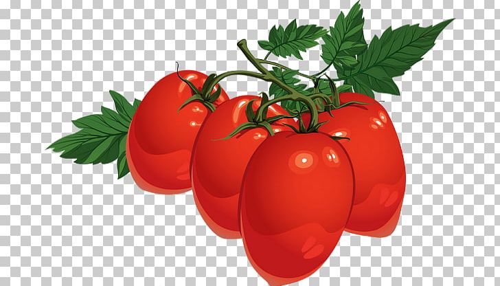 Tomato Juice Cherry Tomato Encapsulated PostScript Food PNG, Clipart, Blue Tomato, Bush Tomato, Cherry Tomato, Computer Icons, Diet Food Free PNG Download