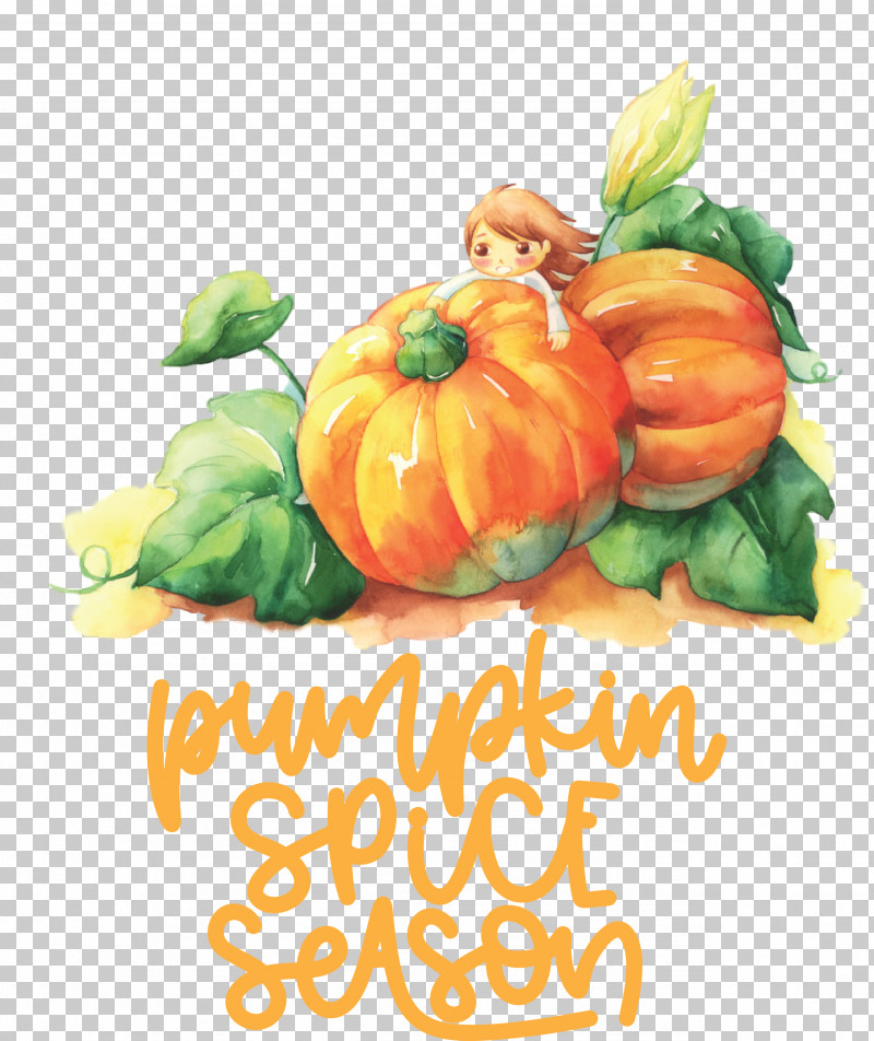 Autumn Pumpkin Spice Season Pumpkin PNG, Clipart, Autumn, Cucurbita Maxima, Cucurbits, Drawing, Field Pumpkin Free PNG Download