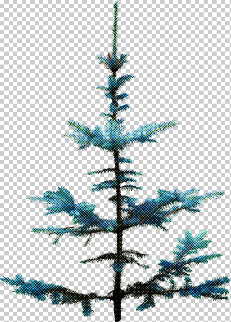 Christmas Tree PNG, Clipart, American Larch, Balsam Fir, Branch, Christmas Decoration, Christmas Tree Free PNG Download