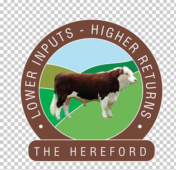 Hereford Cattle Beefmaster Beef Cattle Angus Cattle Limousin Cattle PNG, Clipart, American Hereford Association, Angus Cattle, Beef Cattle, Beefmaster, Brahman Cattle Free PNG Download