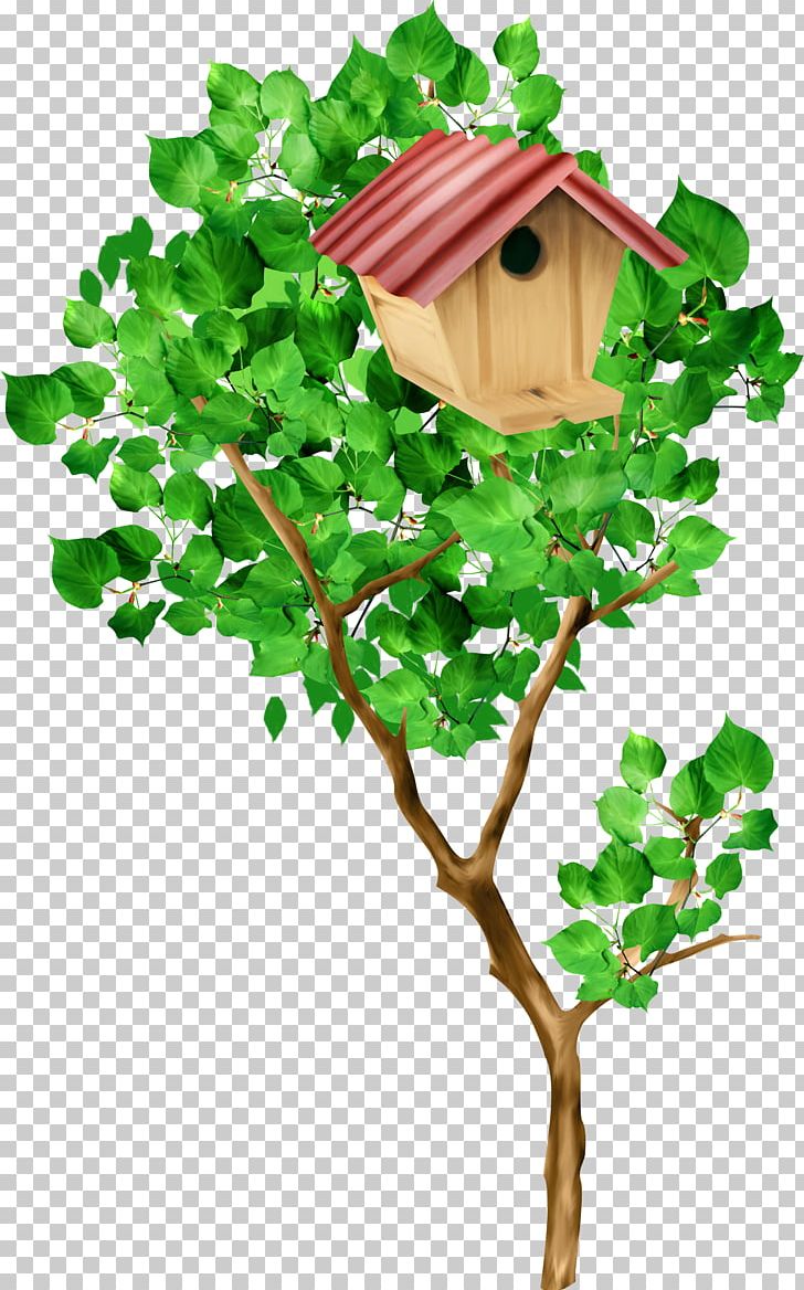 Tree Nest Box PNG, Clipart, Basket, Branch, Child, Flowerpot, Grapevine Family Free PNG Download