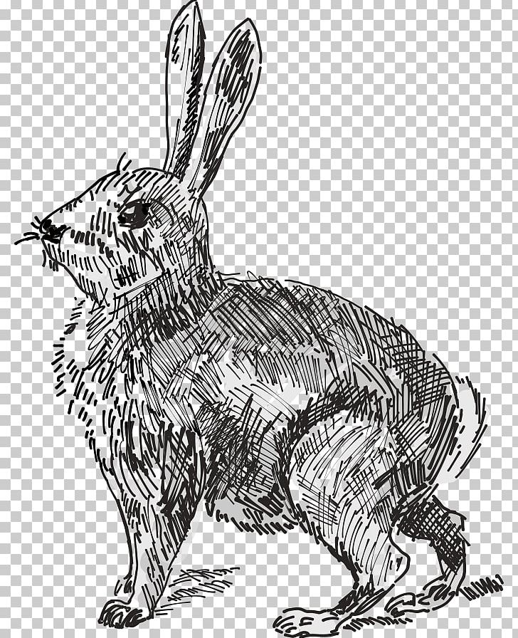 White Rabbit Easter Bunny Hare PNG, Clipart, Art, Black And White, Carnivoran, Cotto, Dog Like Mammal Free PNG Download