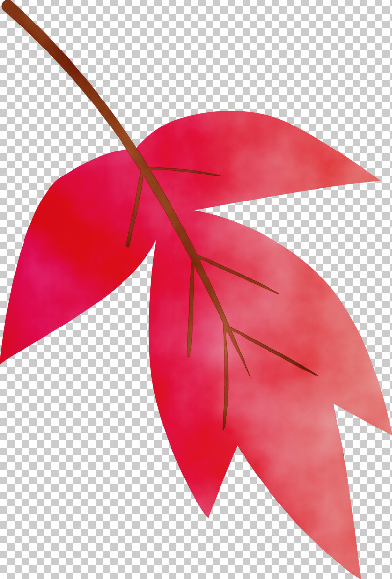 Leaf Red Plant Tree Anthurium PNG, Clipart, Anthurium, Flower, Leaf, Paint, Paper Free PNG Download
