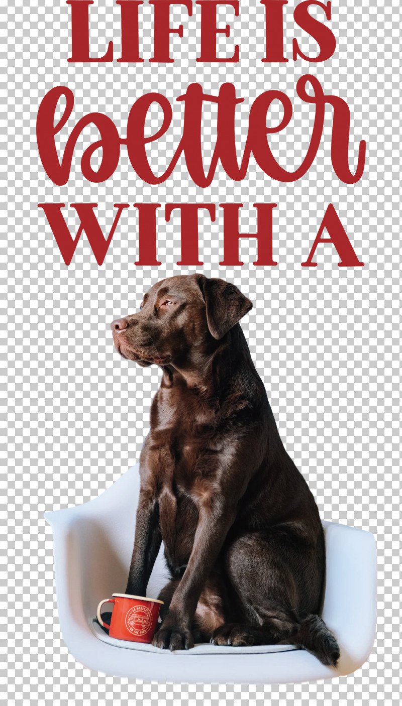 Life Better PNG, Clipart, Better, Biology, Breed, Companion Dog, Dog Free PNG Download