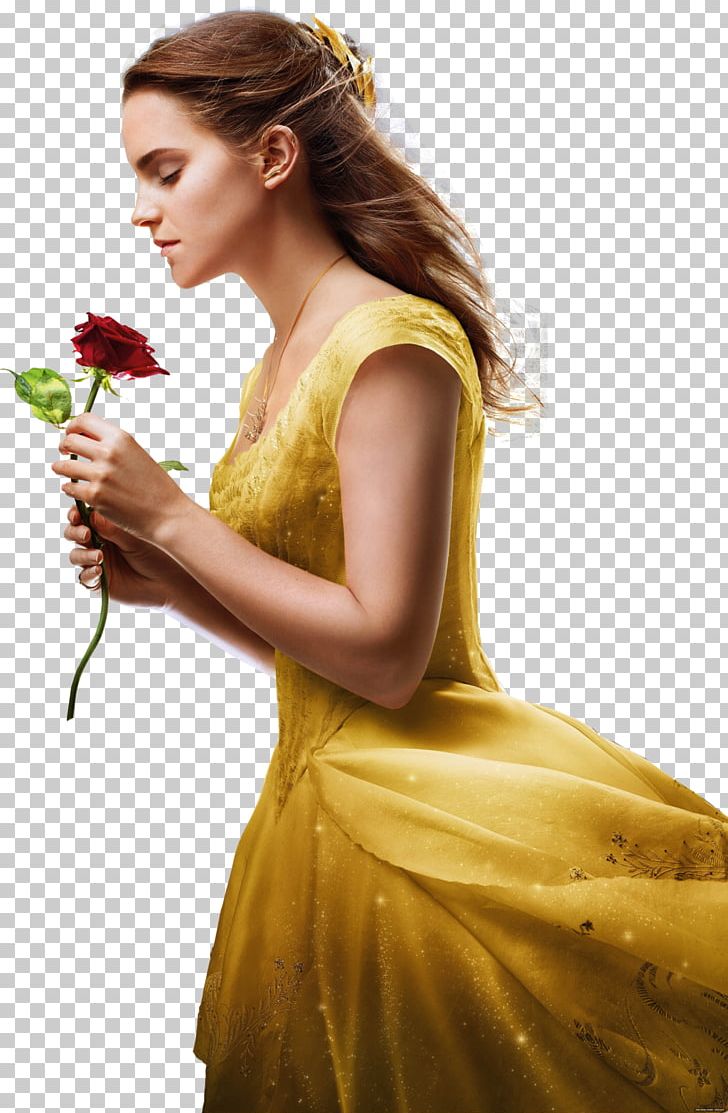 Belle Beauty And The Beast Emma Watson Live Action PNG, Clipart, Beast, Beauty, Beauty And The Beast, Belle, Black Hair Free PNG Download